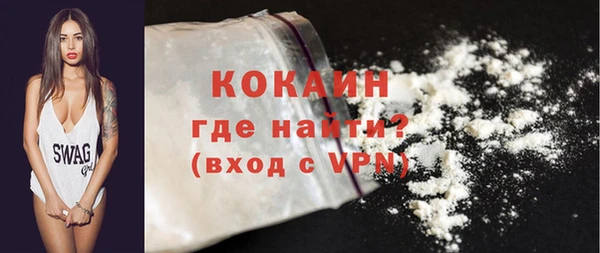 прущие грибы Богданович