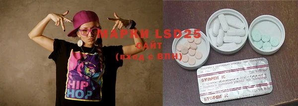 прущие грибы Богданович