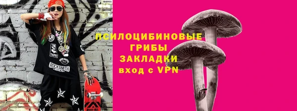 МДПВ Богородицк