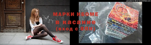 прущие грибы Богданович