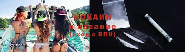 МДПВ Богородицк