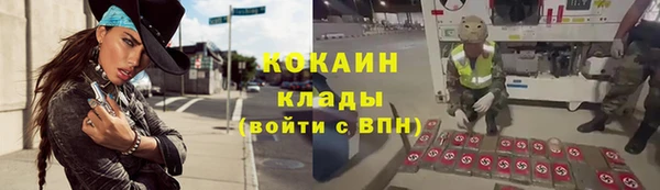прущие грибы Богданович