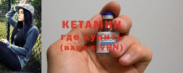 прущие грибы Богданович