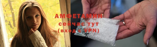 прущие грибы Богданович