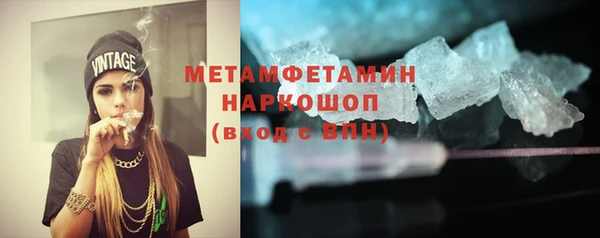 прущие грибы Богданович