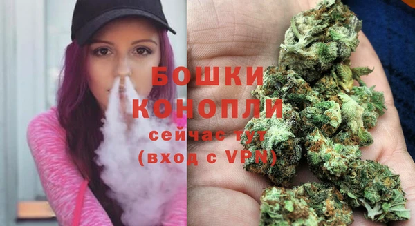 МДПВ Богородицк