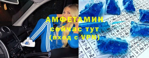 прущие грибы Богданович