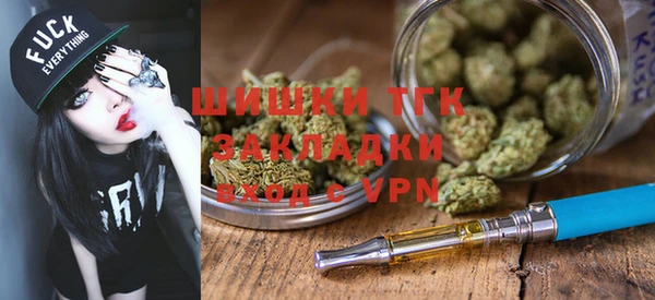 прущие грибы Богданович