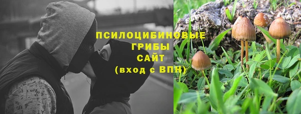 прущие грибы Богданович