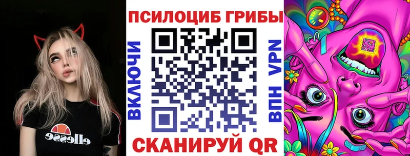 где купить Оренбург Псилоцибиновые грибы мухоморы