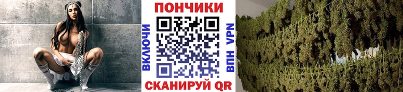 Бошки марихуана сатива  Оренбург 